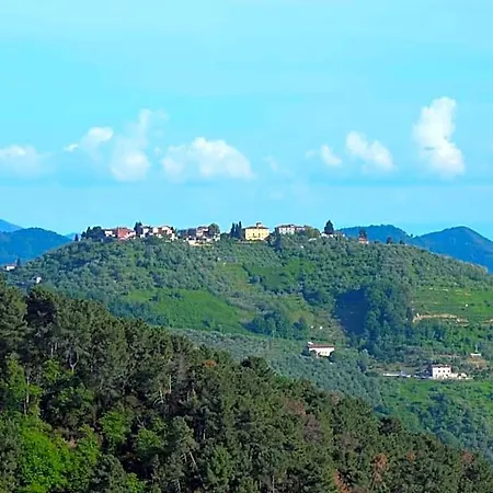 Bed and breakfast Il Trebbio 3*