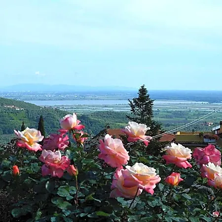Il Trebbio Bed and breakfast 3*