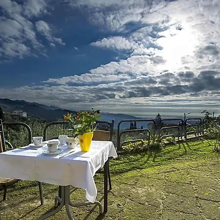 Il Trebbio 3*