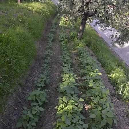 Il Trebbio Corsanico-Bargecchia