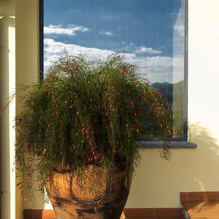 Il Trebbio *